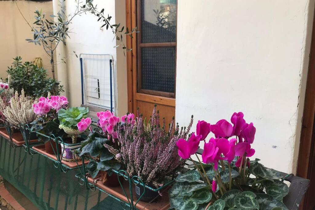 Deluxe Apartment In The Centre Of Florence Florença Exterior foto